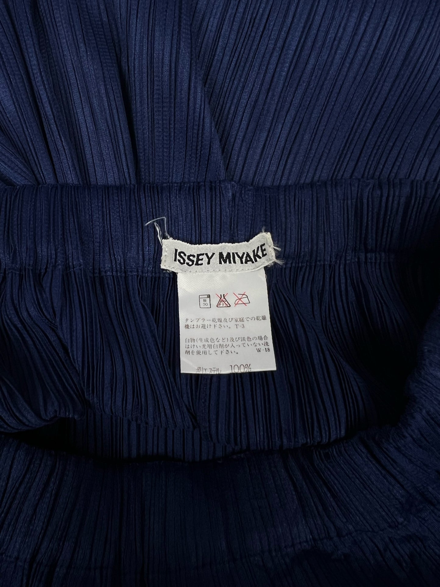 Blue Pleated Skirt