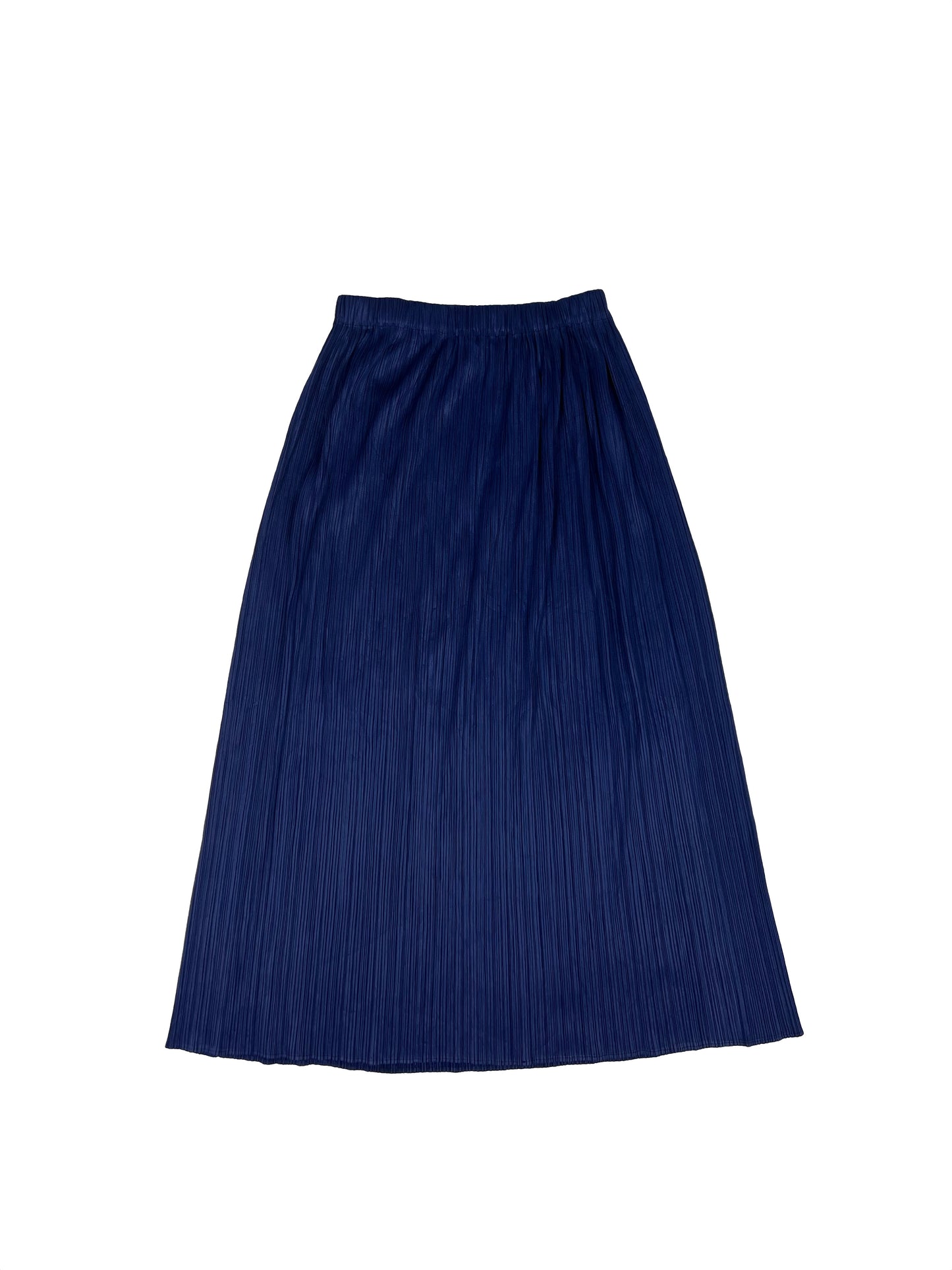 Blue Pleated Skirt